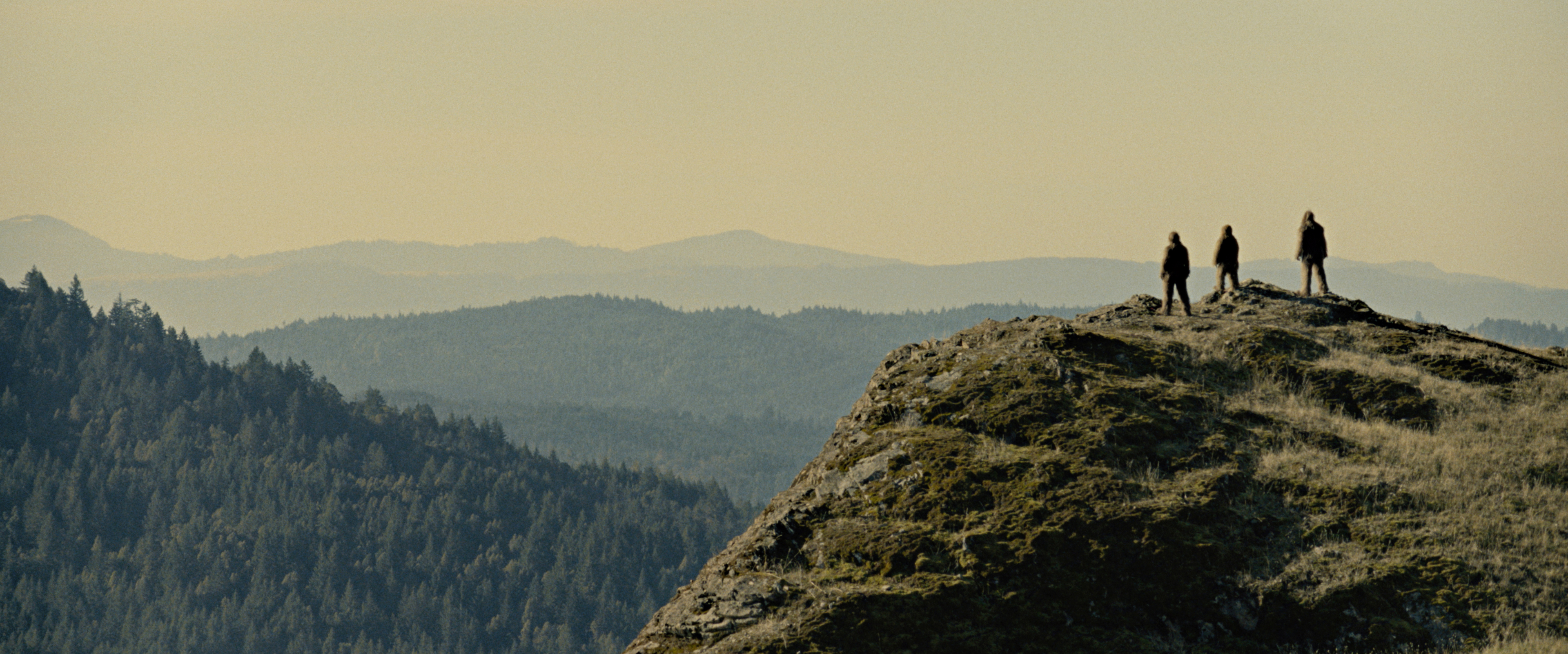 „Sasquatch Sunset“ (USA 2024)